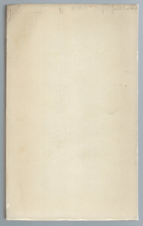 Conchiglie veneziane