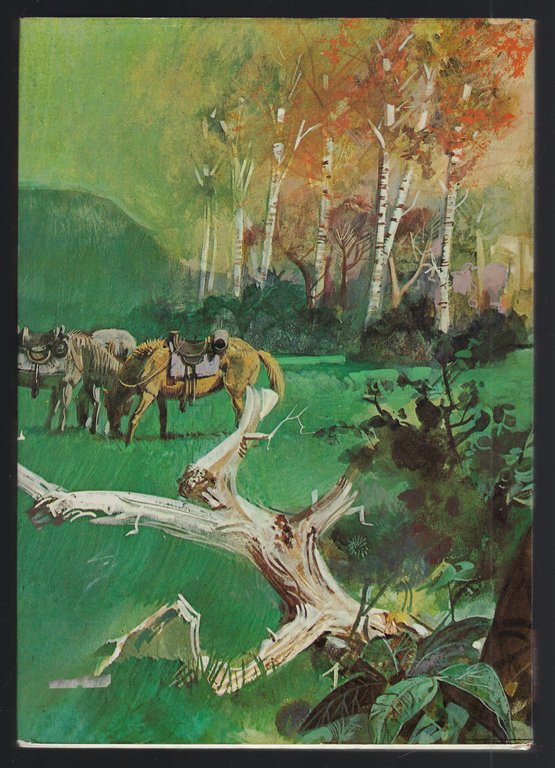 Davy Crockett al Congresso.