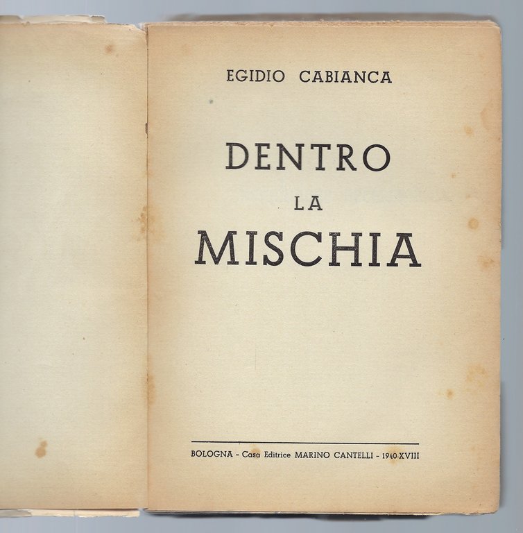Dentro la mischia