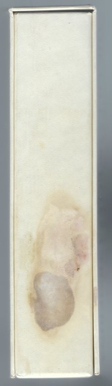 Filosofiana - The Villa of Piazza Armerina - The image …