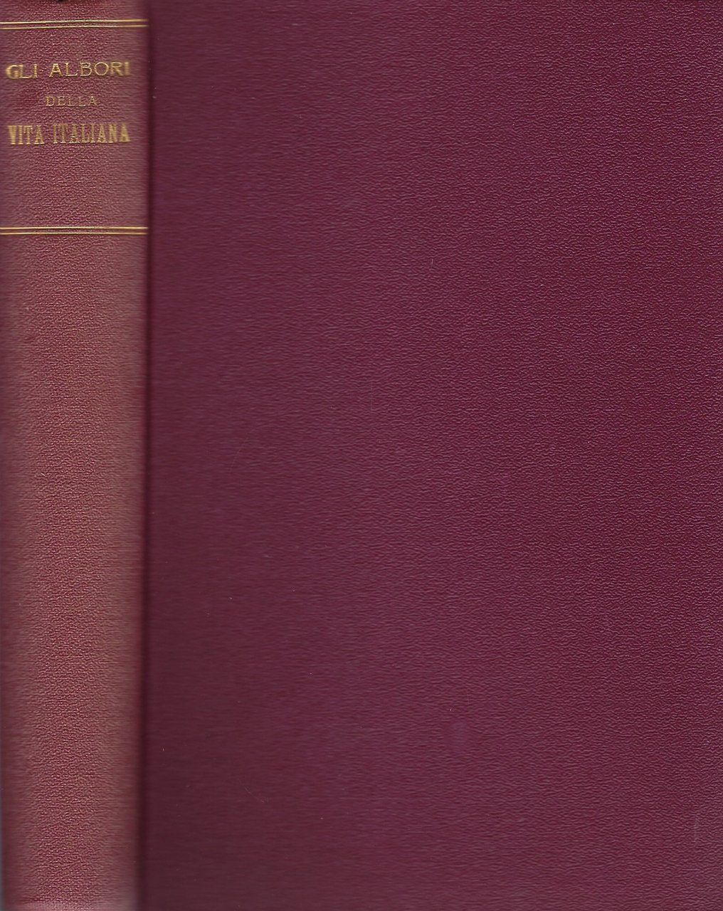 Gli albori della vita italiana. Conferenze tenute a Firenze nel …