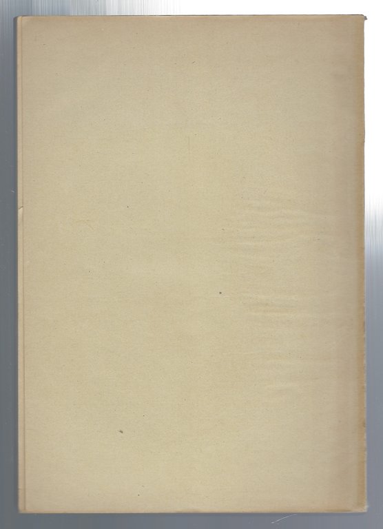 Gorizia Ottocentesca. Il tormentato periodo dal 1870 al 1882