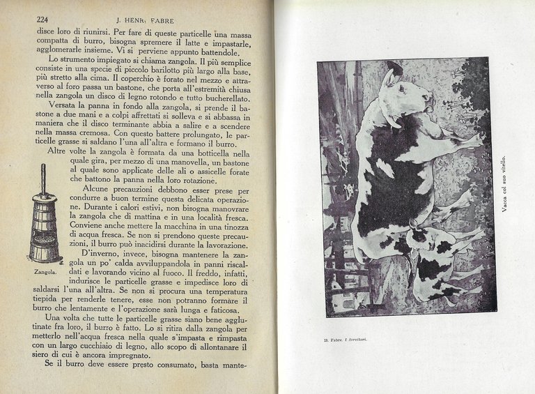 I servitori - Racconti dello zio Paolo su gli animali …