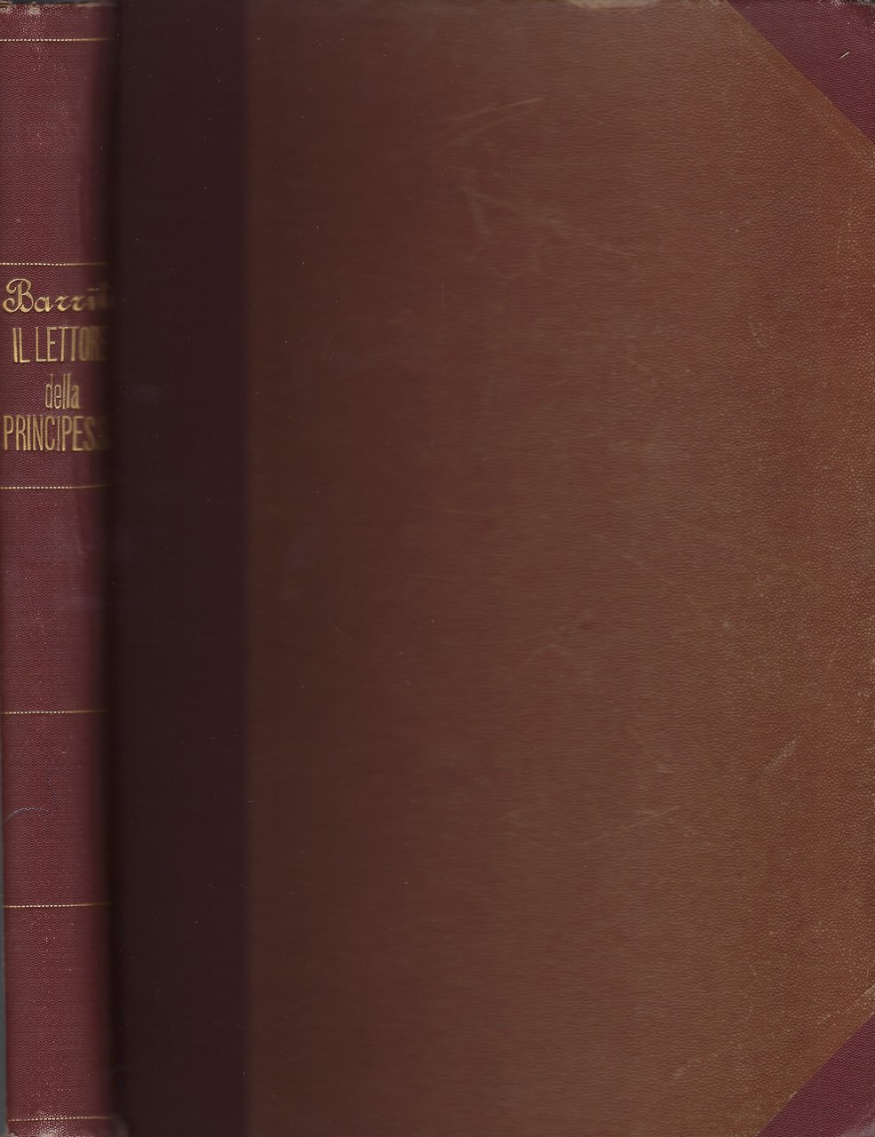 Il lettore della principessa