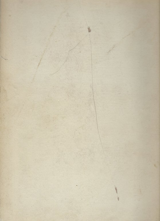 Il ninfale fiesolano