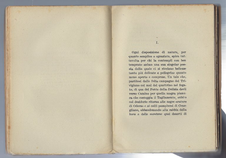 Il Varmo. Novella paesana.