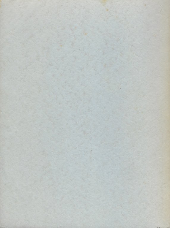 L'Arsenale triestino