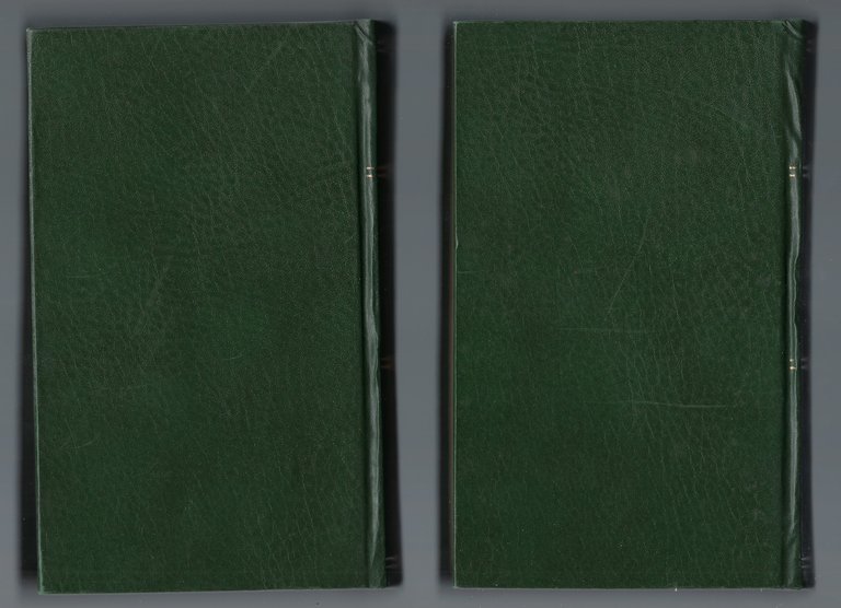 L'uomo senza qualità.