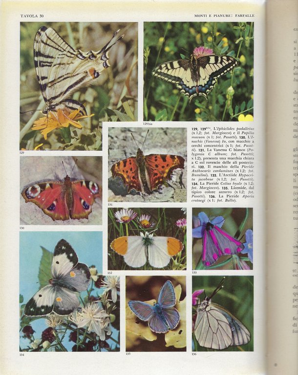 "La fauna" Conosci l'Italia, volume III.