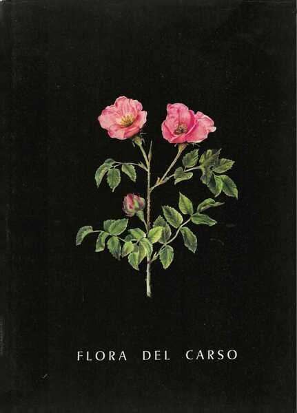 La flora del Carso