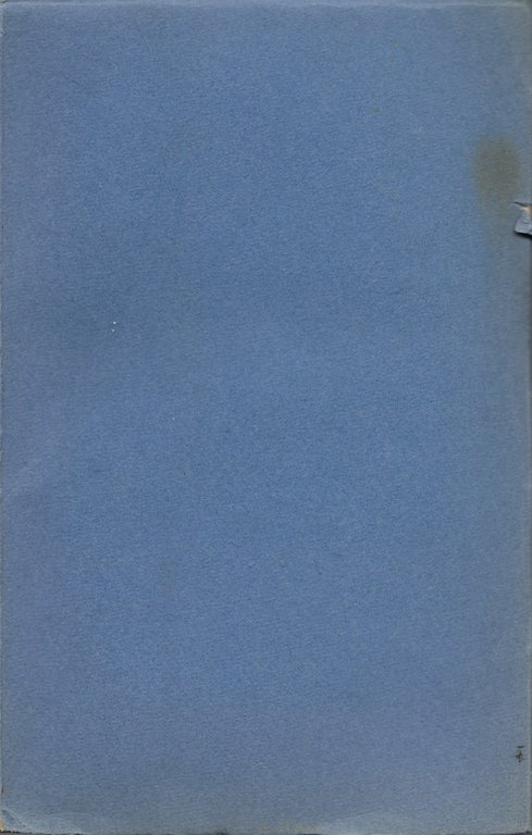 La grande guerra sul mare. fatti - insegnamenti - previsioni