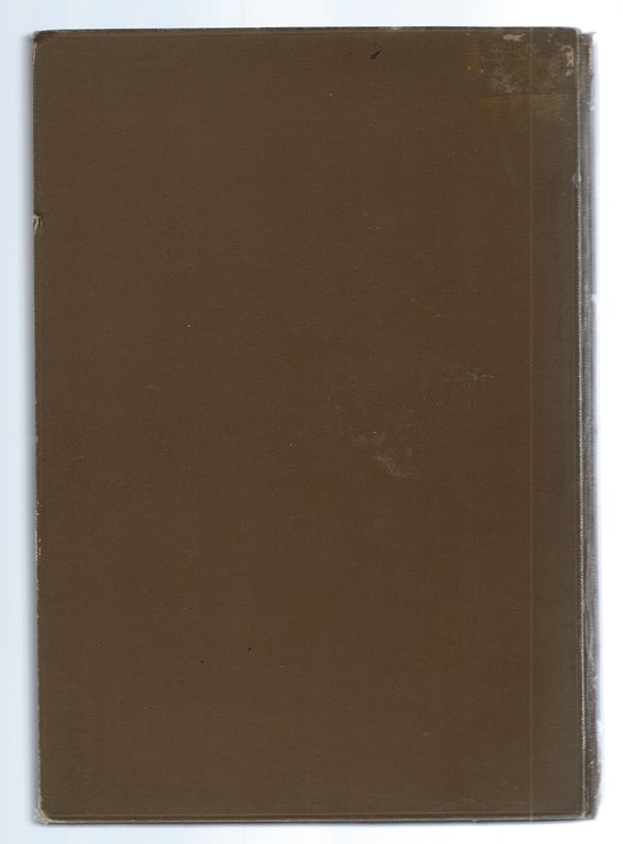 La pittura veneziana