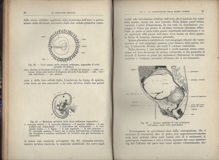 La questione sessuale esposta alle persone colte. Versione italiana del …