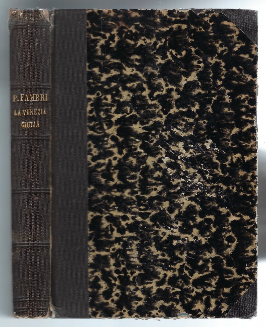 La Venezia Giulia, studii politico-militari.