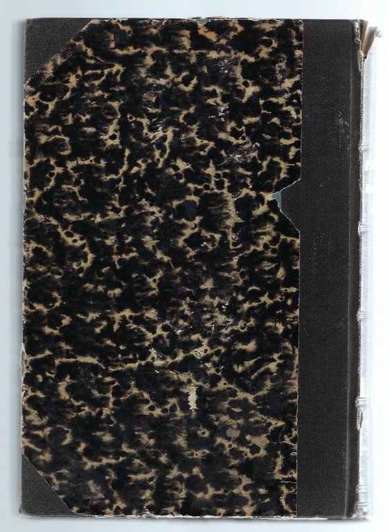 La Venezia Giulia, studii politico-militari.