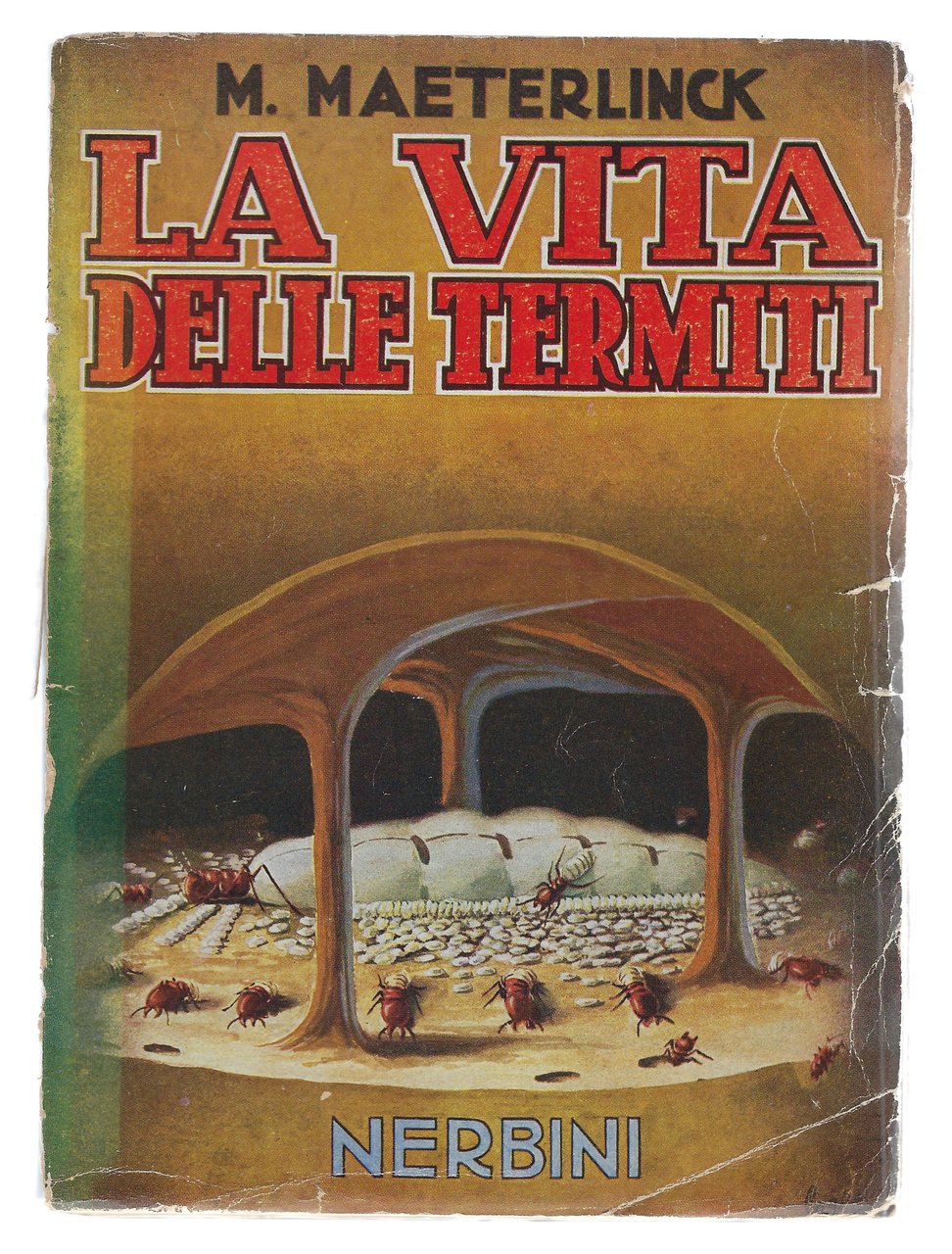 La vita delle termiti