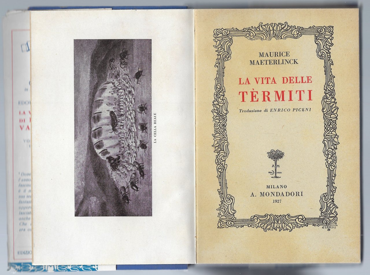 La vita delle termiti