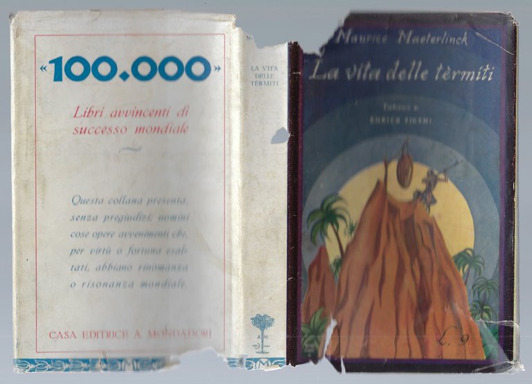 La vita delle termiti