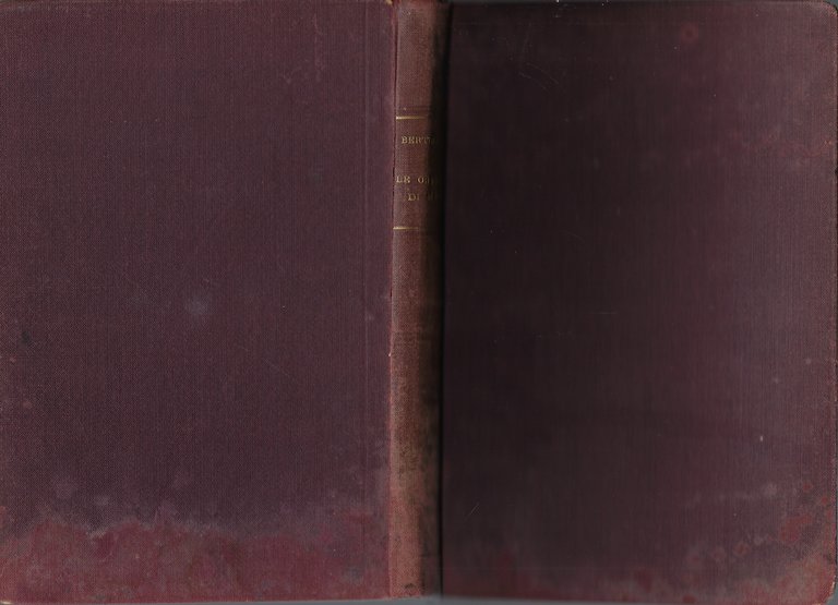 Le orecchie di Meo: storia di quei ragazzi intelligenti che …