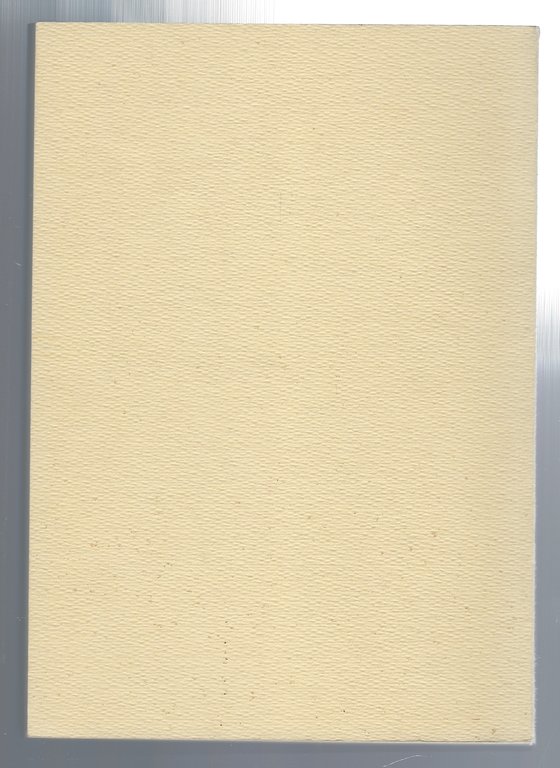 Luigi Comel. Pittore goriziano 1866-1934. Cenni biografici.