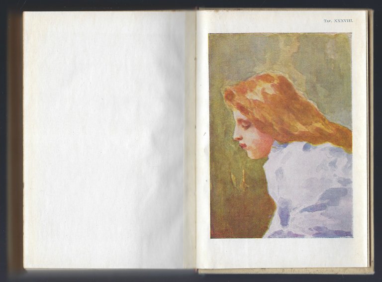 Manuale per i dilettanti di pittura a olio,acquerello,miniatura,guazzo,tempera,encausto,pastello,fotopittura etc.