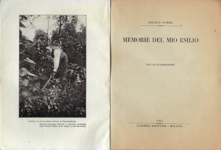 Memorie del mio esilio