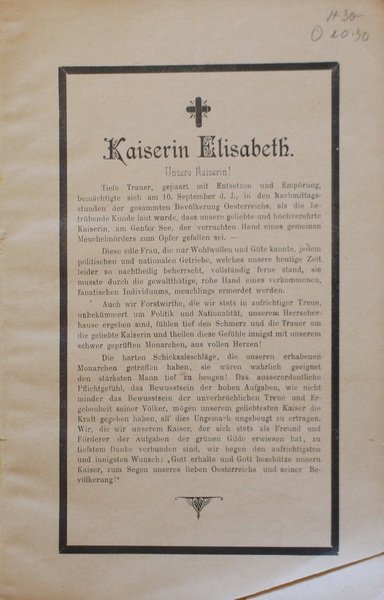 Mittheilungen des krainisch-kustenlandischen Forstvereines. XVII Heft.