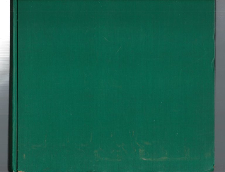 Netty. Romanzo. Con trentadue disegni a penna nel testo e …