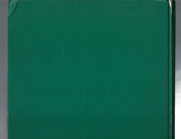 Netty. Romanzo. Con trentadue disegni a penna nel testo e …