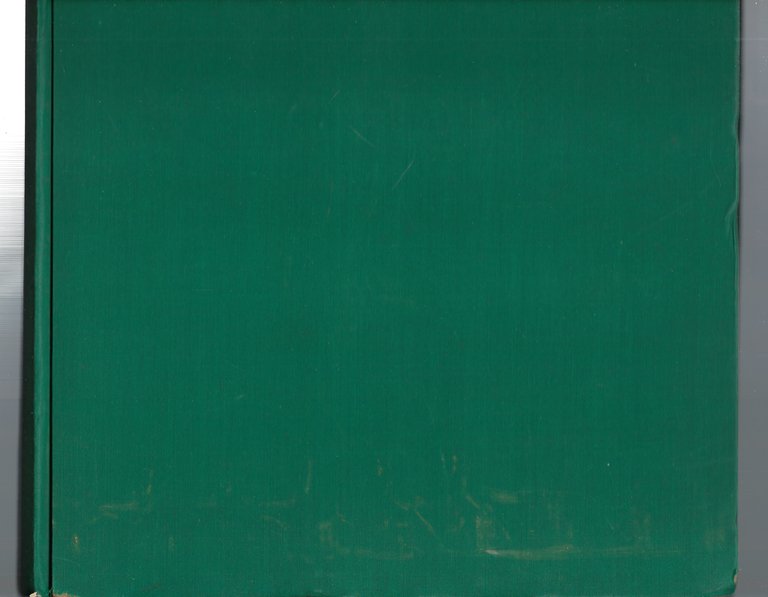 Netty. Romanzo. Con trentadue disegni a penna nel testo e …