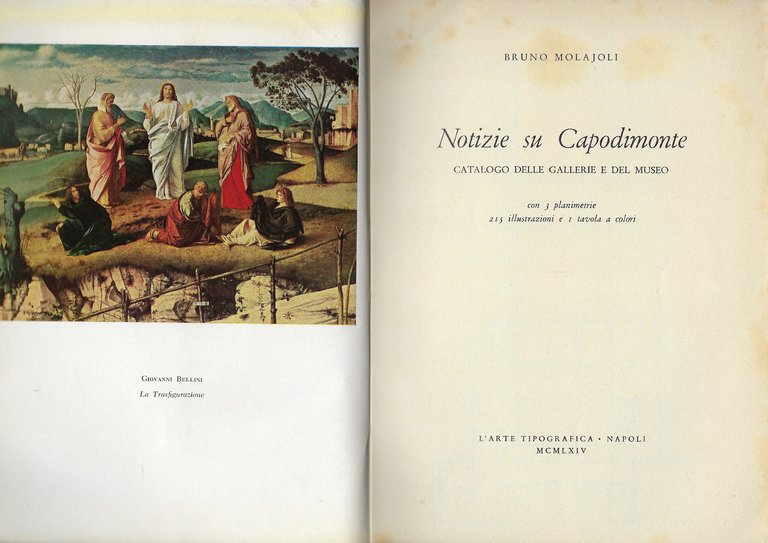 Notizie su Capodimonte