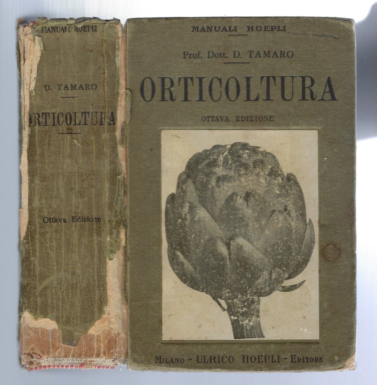 Orticoltura