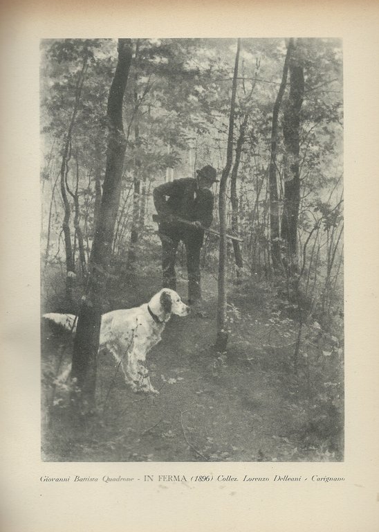 Ottocento piemontese. Scritti d'arte