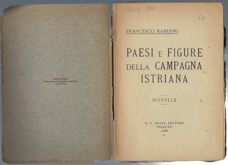 Paesi e figure della campagna Istriana: novelle.