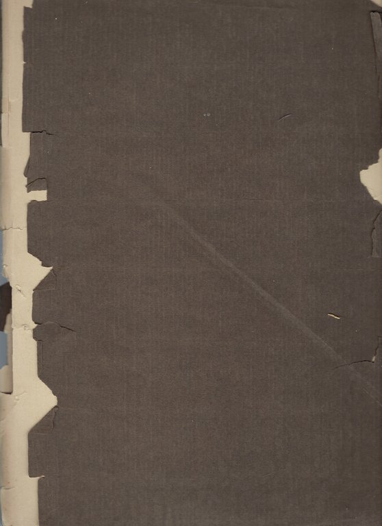 Panorami della guerra La Valle del Seebach dal Confinspitzen