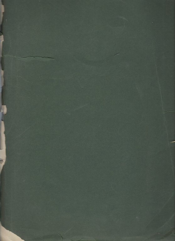 Panorami della guerra La Valle del Seebach dal Confinspitzen