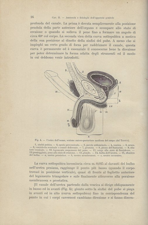 Patologia e cura della Funzione sessuale nell'uomo e nella donna. …