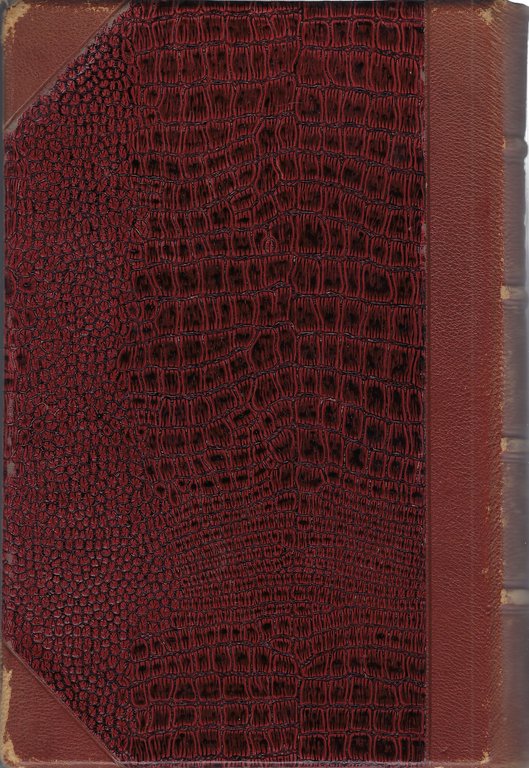 Rinascimento e Umanismo in Italia e in Germania.