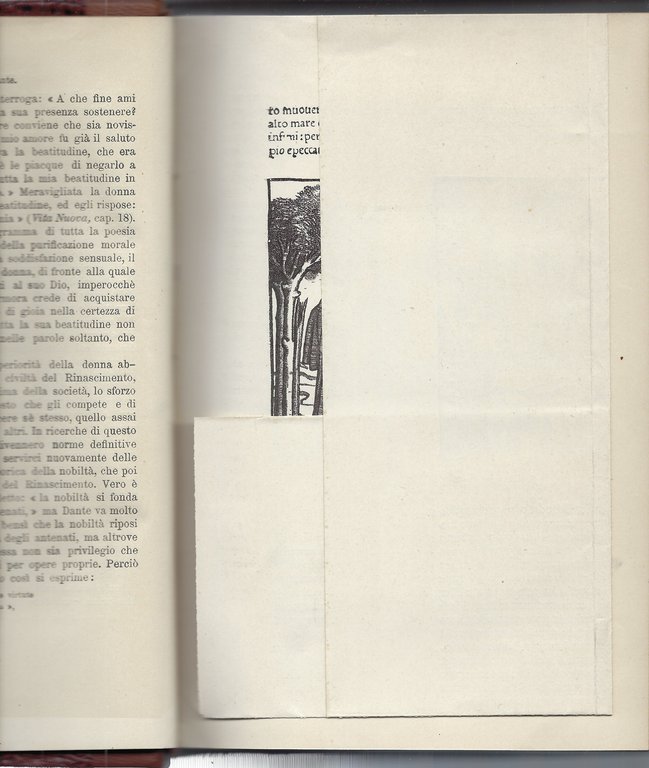 Rinascimento e Umanismo in Italia e in Germania.