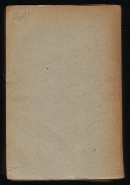 Sotto gli occhi dell'occidente. Romanzo.