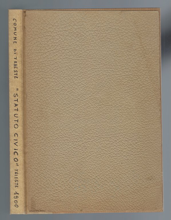 Statuto civico e regolamenti diversi