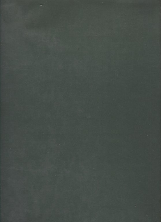 Storia cronografica di Trieste: dalle sue origini sino all'anno 1695, …