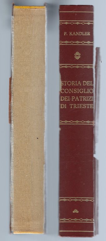 Storia del consiglio dei patrizi di Trieste: dall'anno 1382 all'anno …