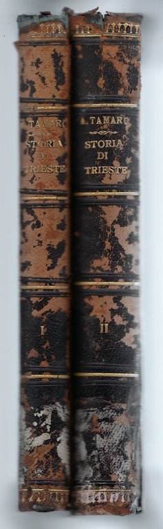Storia di Trieste