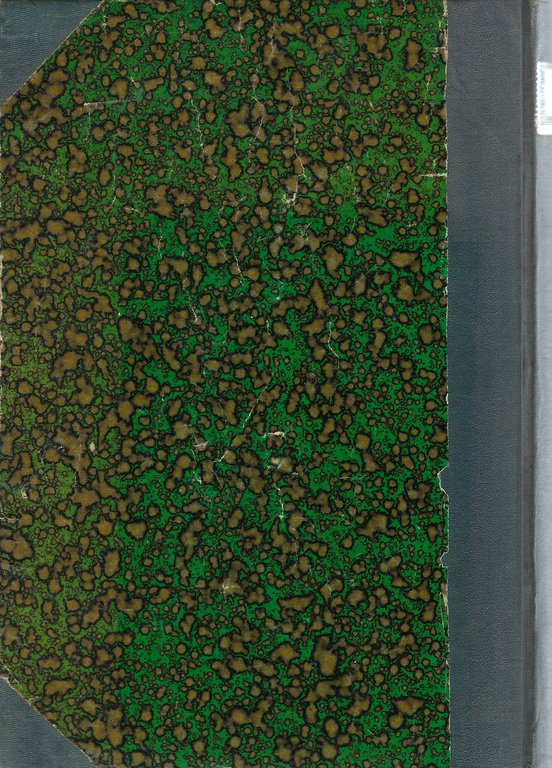 Storia letteraria d'Italia scritta da una Società di Professori: il …