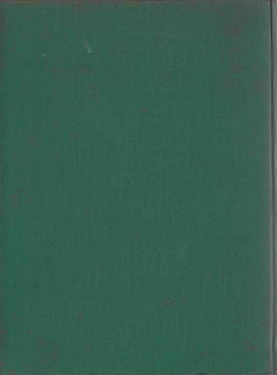 Storia universale dell'Arte: preistoria - civiltà extraeuropee