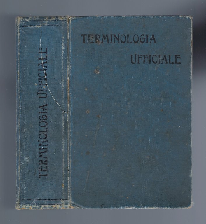 Terminologia ufficiale