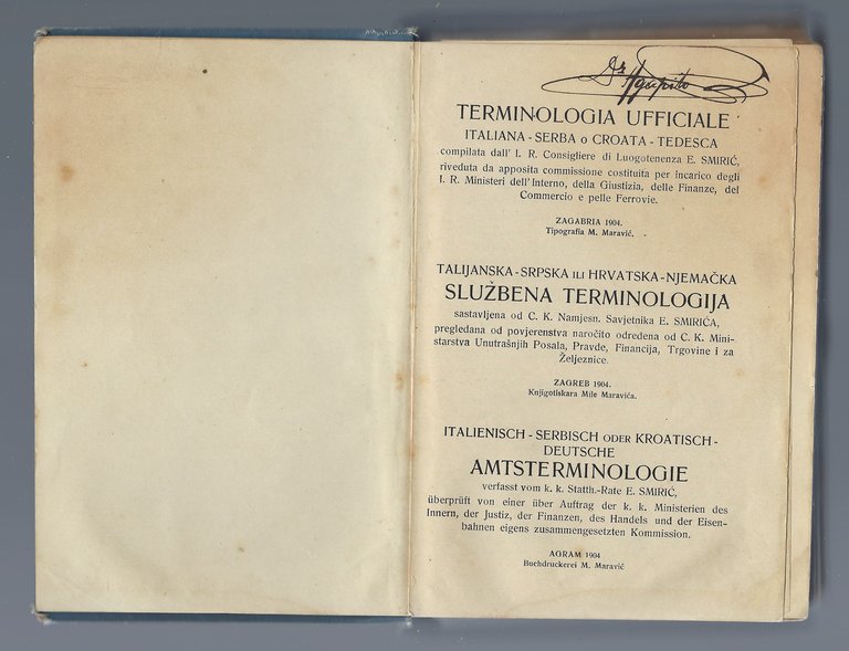 Terminologia ufficiale