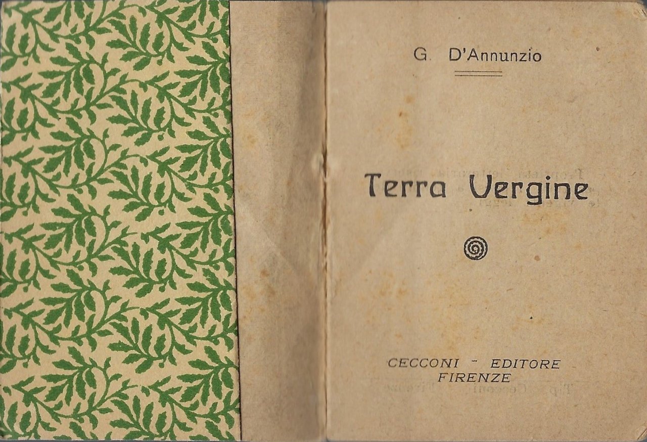 Terra vergine