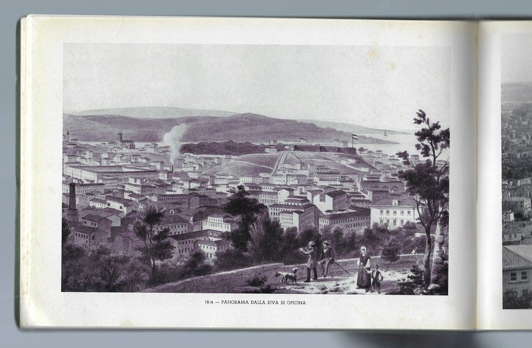 Trieste 1854-1954